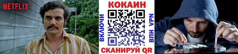 Cocaine Fish Scale  Купить закладки  Болгар 