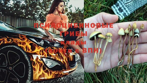 мет Гусь-Хрустальный