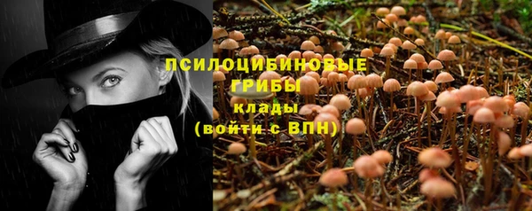 мескалин Гусиноозёрск