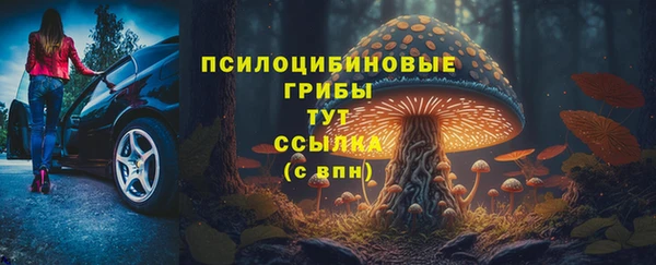 метадон Гусев