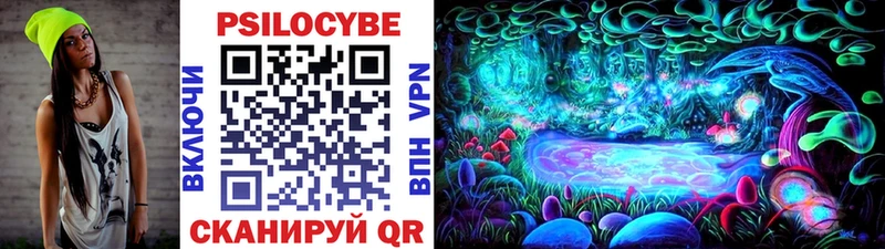 Купить  Болгар  Галлюциногенные грибы MAGIC MUSHROOMS 