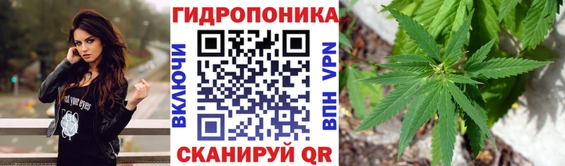 Конопля индика  Купить закладки  Болгар 